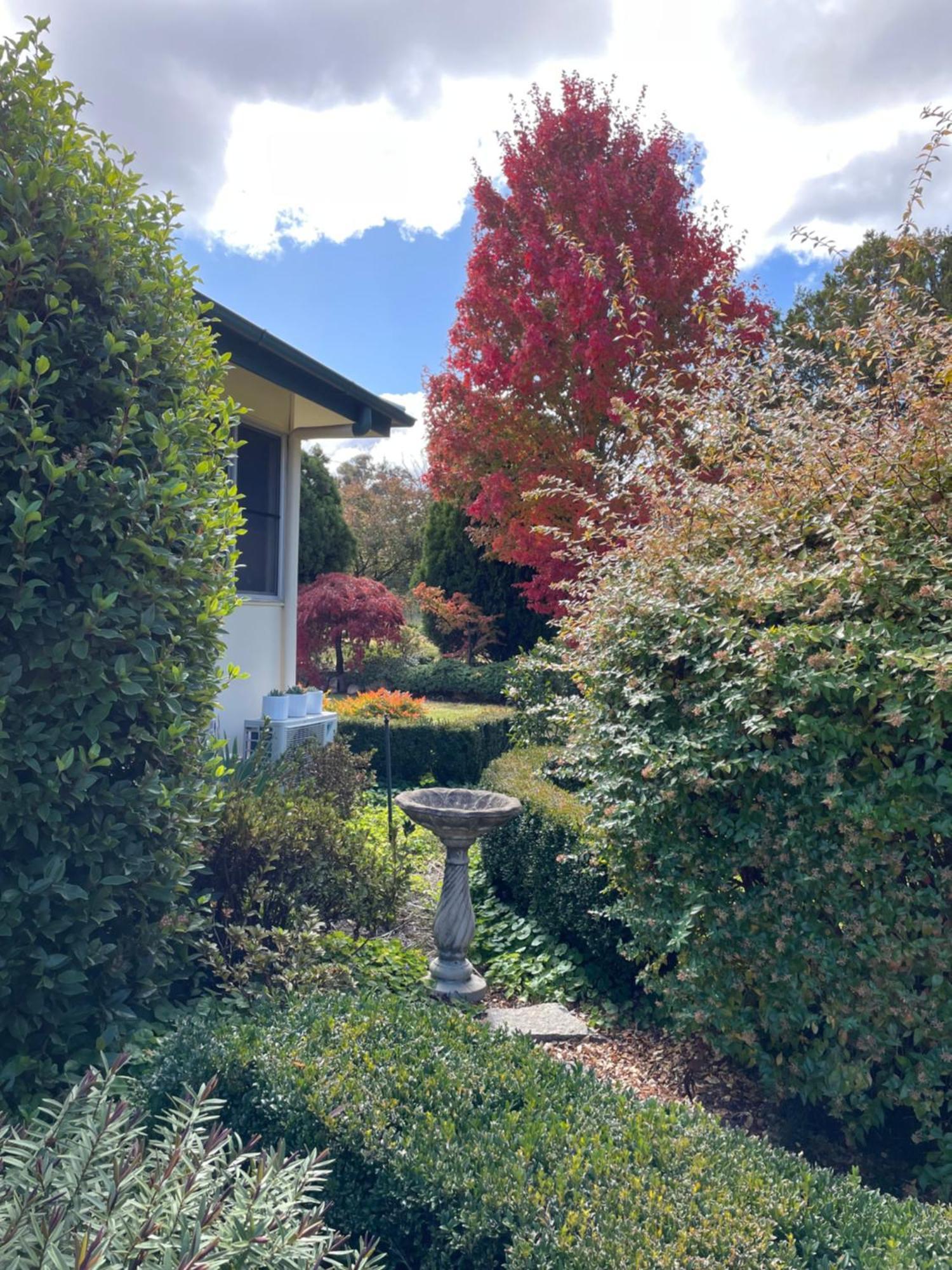 Lynrose Place Stanthorpe Exterior foto