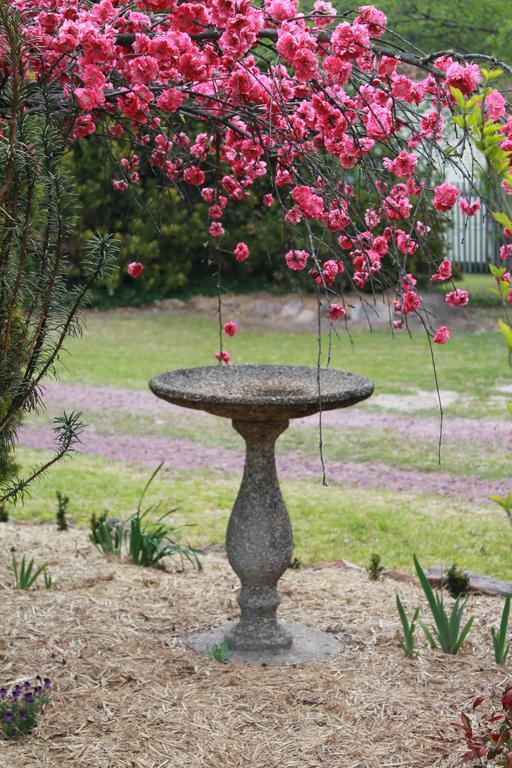 Lynrose Place Stanthorpe Exterior foto