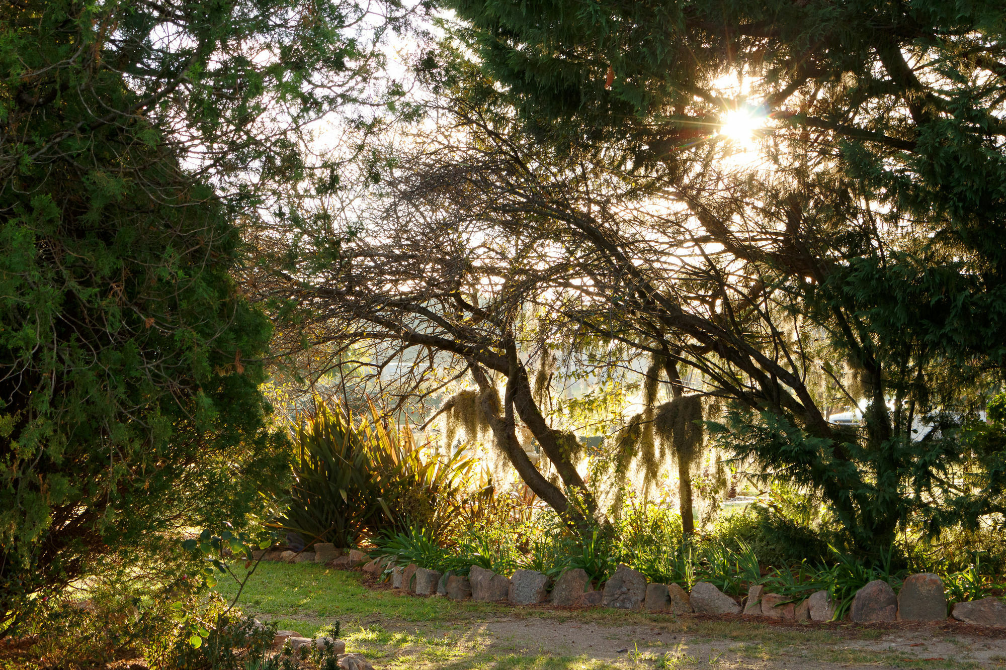 Lynrose Place Stanthorpe Exterior foto