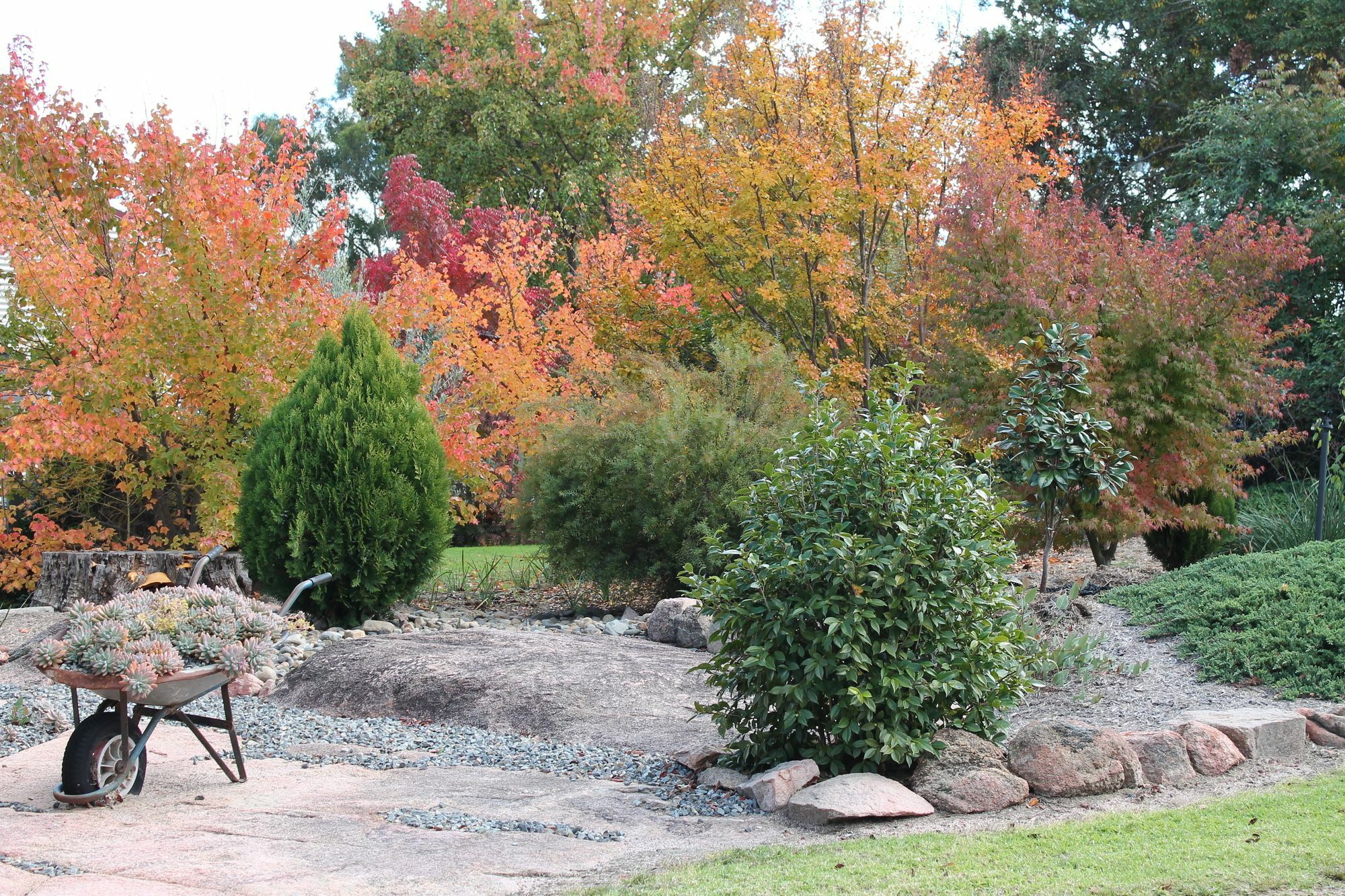 Lynrose Place Stanthorpe Exterior foto